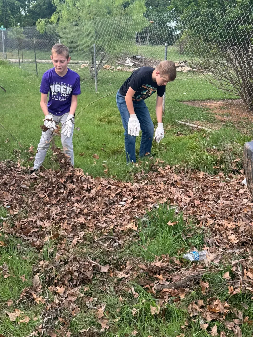 Young volunteers gathering leaves