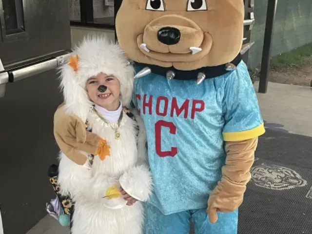 Chomp photo 2