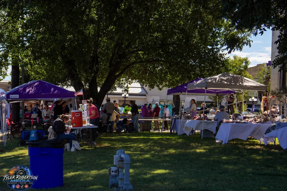 Festival booths and visitors beneath the trees at STOMP Fest 2026